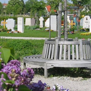 Runde Bank um einen Baum auf einem Friedhof