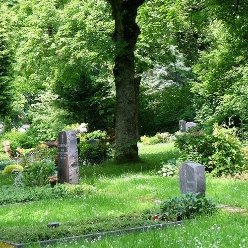 Einzelne Grabstelle unter einem Baum auf einer Rasenfläche